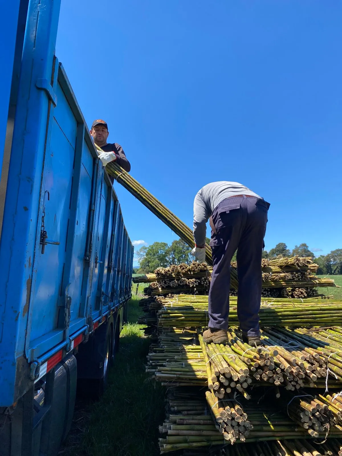 Imagen 1 - Despachos al por mayor a todo destino