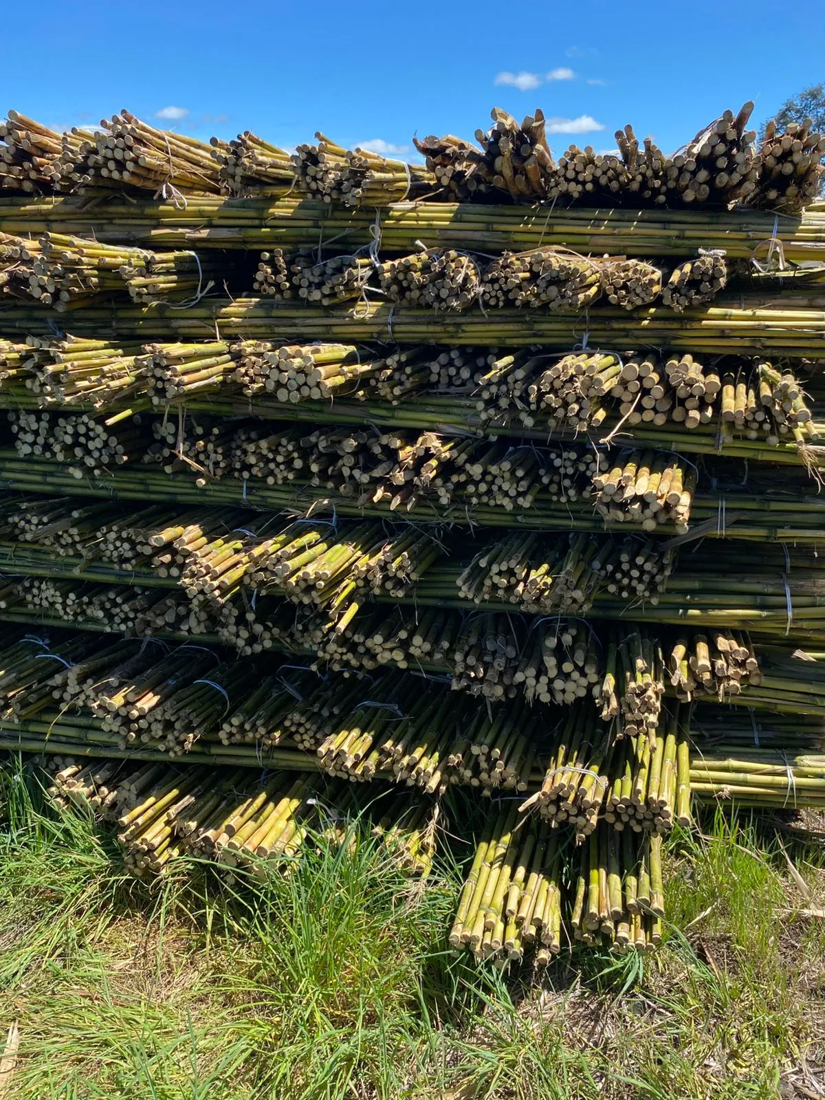 Imagen 2 - Despachos al por mayor a todo destino