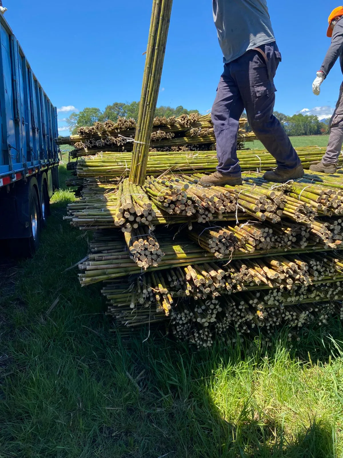 Imagen 3 - Despachos al por mayor a todo destino