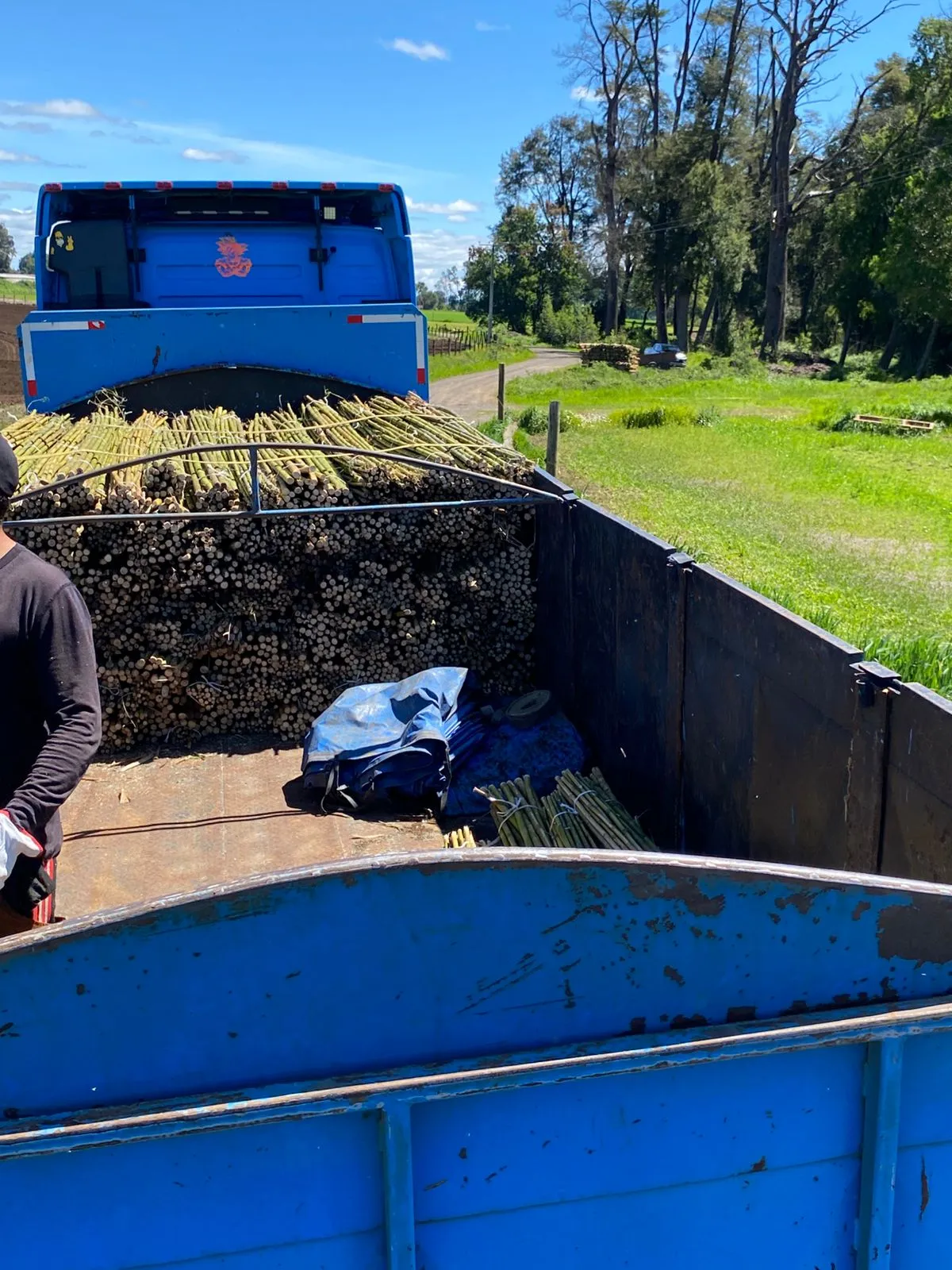 Imagen 4 - Despachos al por mayor a todo destino