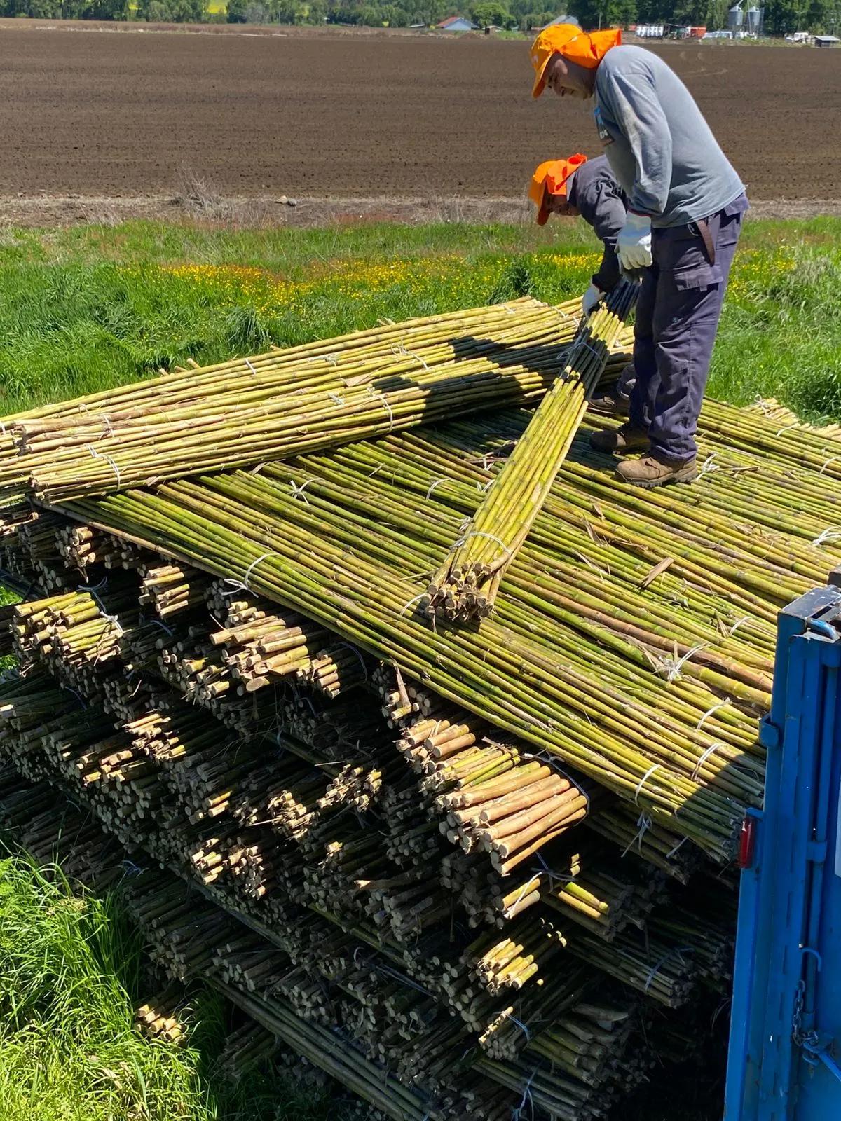 Imagen 5 - Despachos al por mayor a todo destino