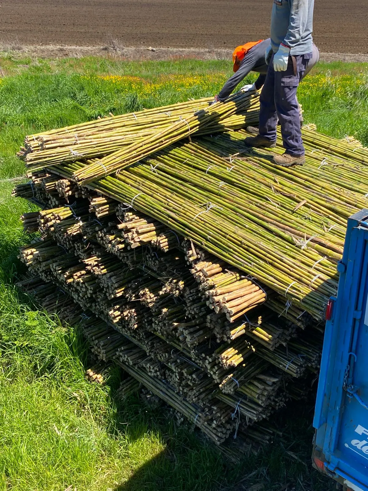 Imagen 6 - Despachos al por mayor a todo destino