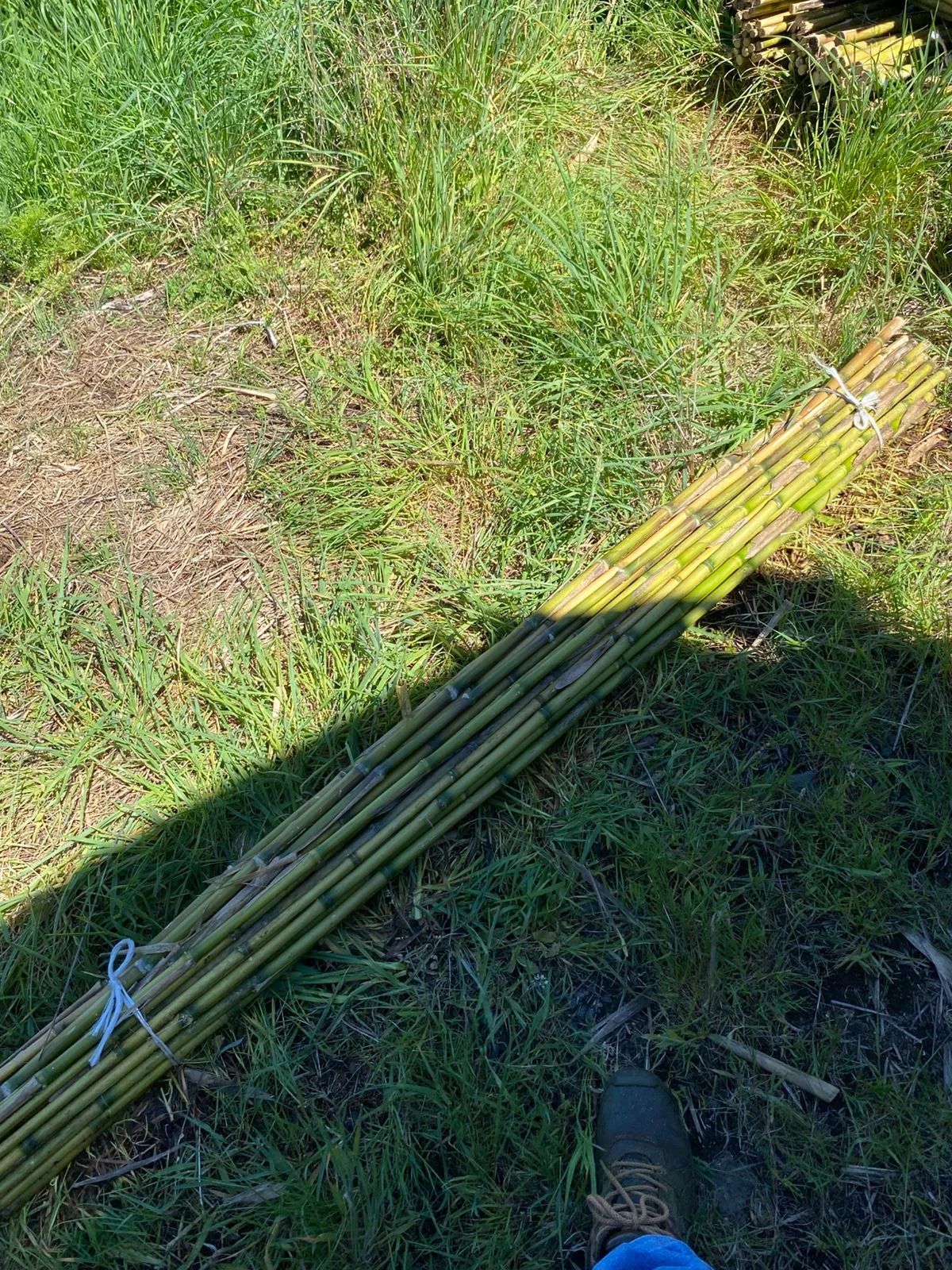 Imagen 7 - Despachos al por mayor a todo destino