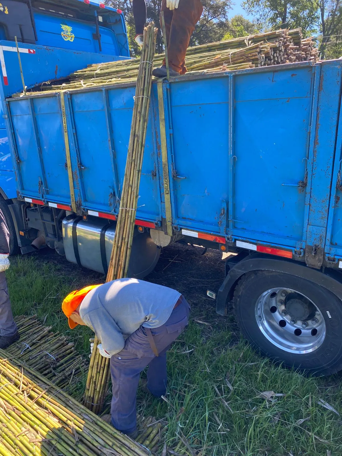 Imagen 8 - Despachos al por mayor a todo destino