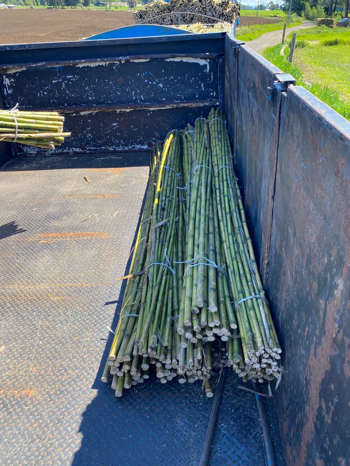 Imagen 9 - Despachos al por mayor a todo destino