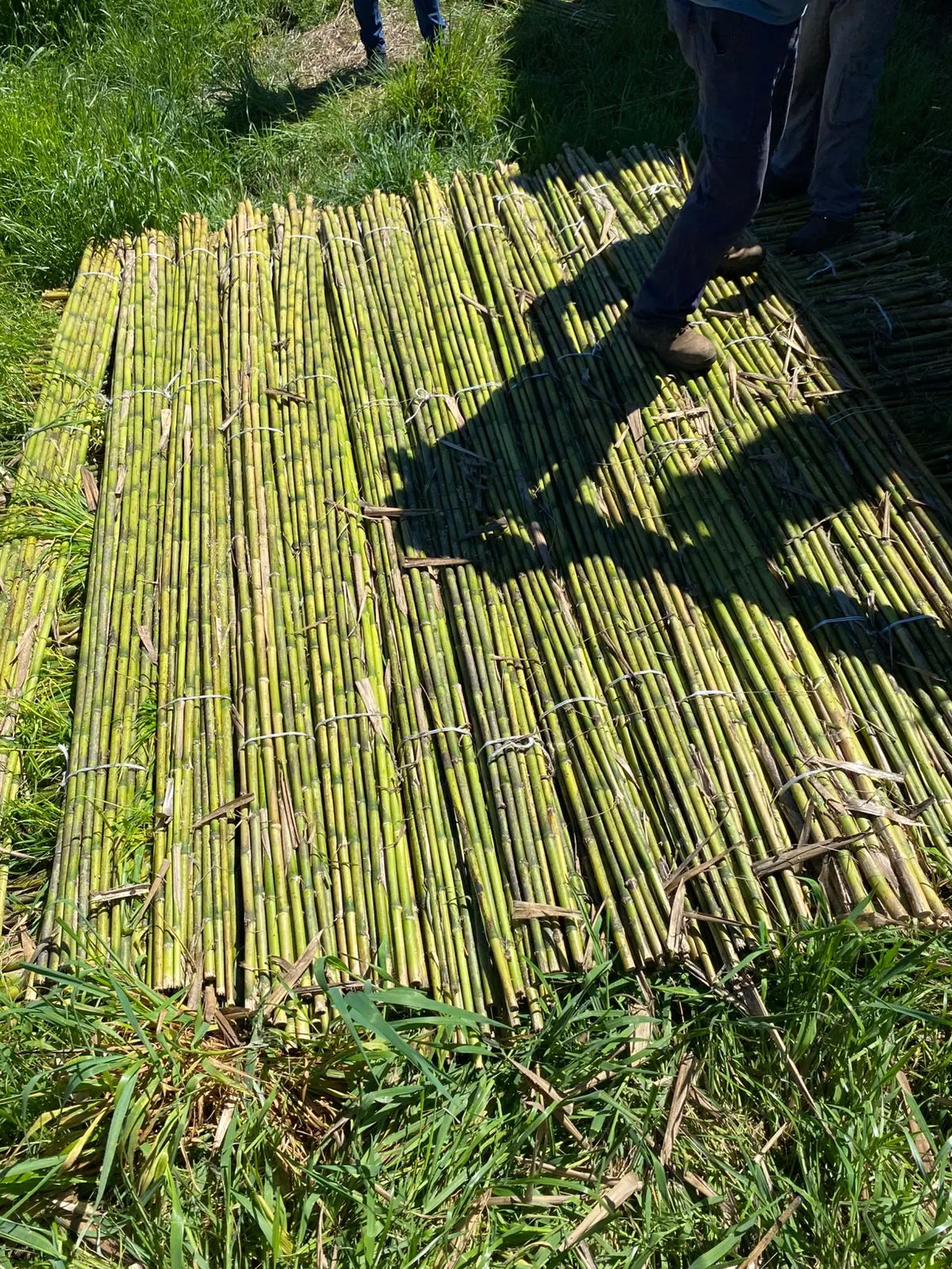 Imagen 10 - Despachos al por mayor a todo destino