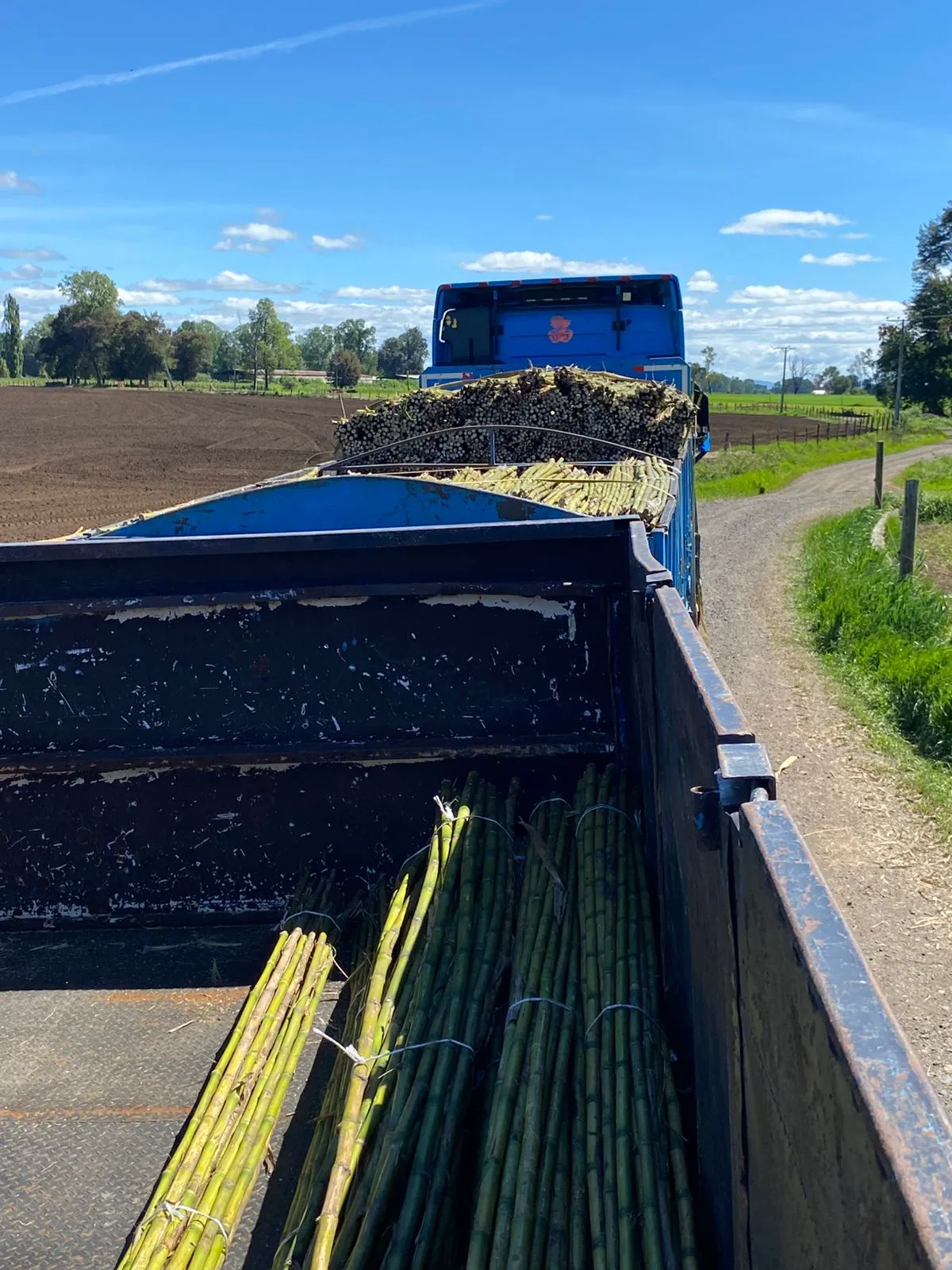 Imagen 11 - Despachos al por mayor a todo destino