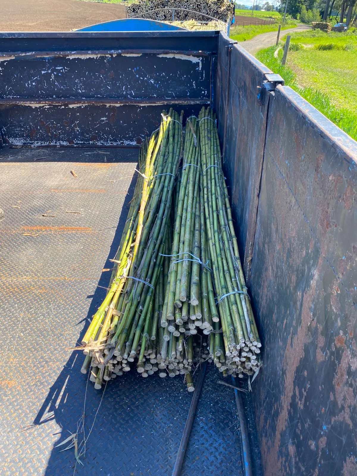 Imagen 12 - Despachos al por mayor a todo destino