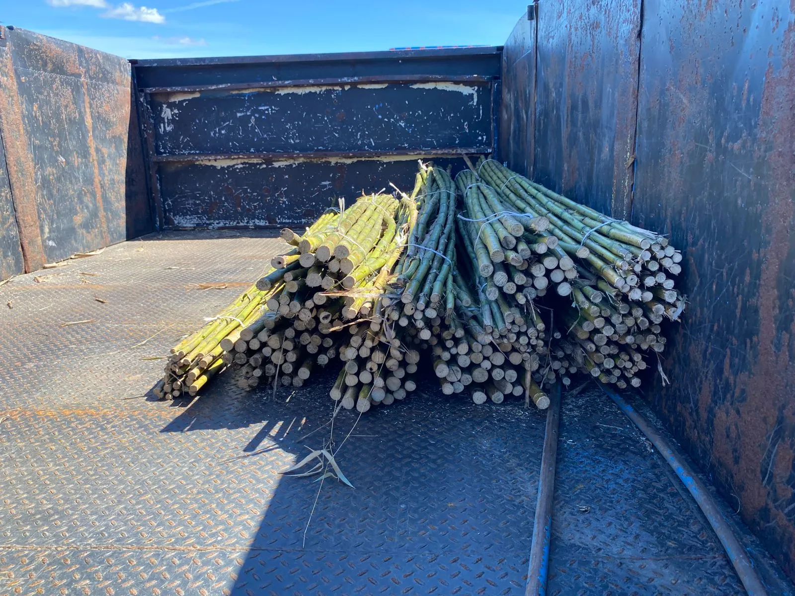 Imagen 14 - Despachos al por mayor a todo destino