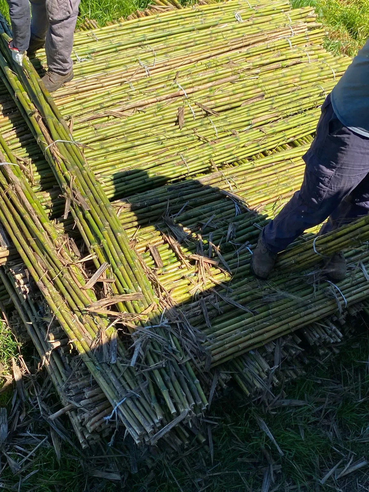 Imagen 16 - Despachos al por mayor a todo destino