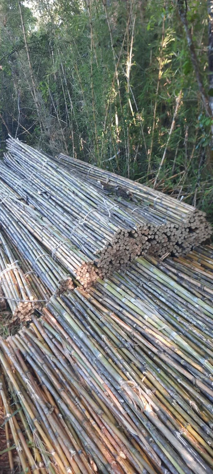 Imagen 3 - Proyectos de construcción