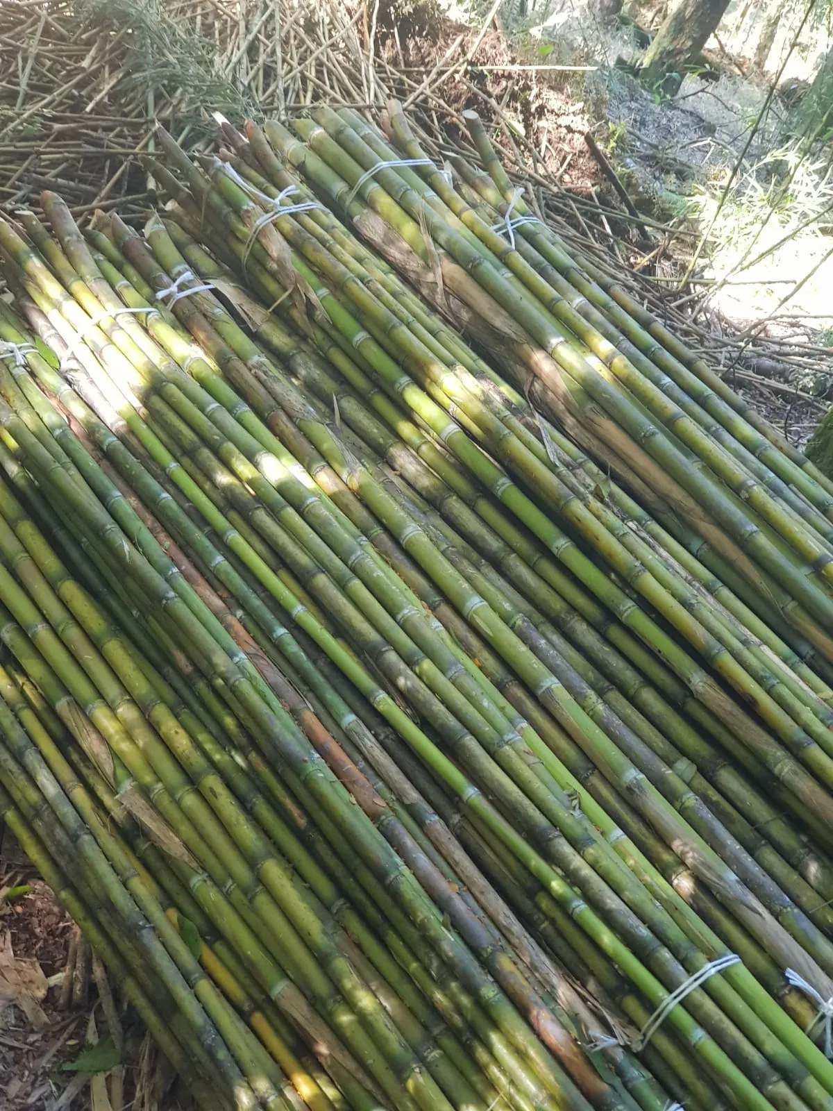 Imagen 4 - Proyectos de construcción