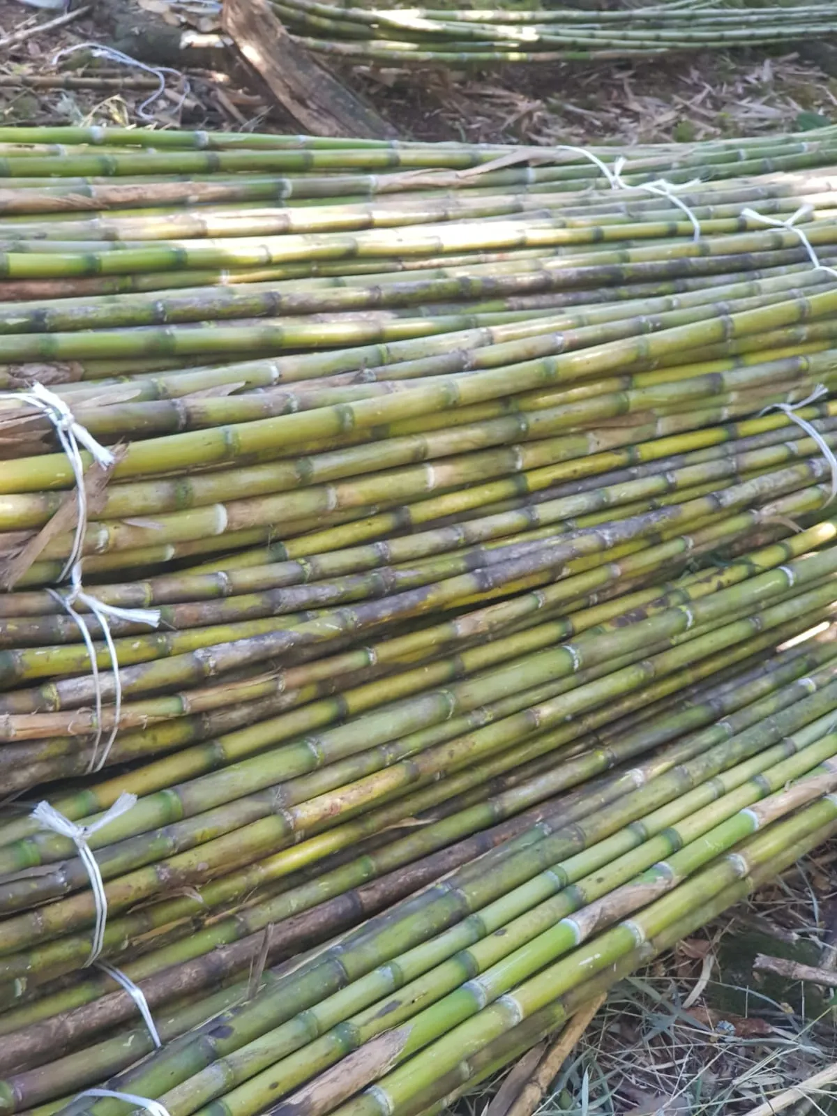 Imagen 5 - Proyectos de construcción