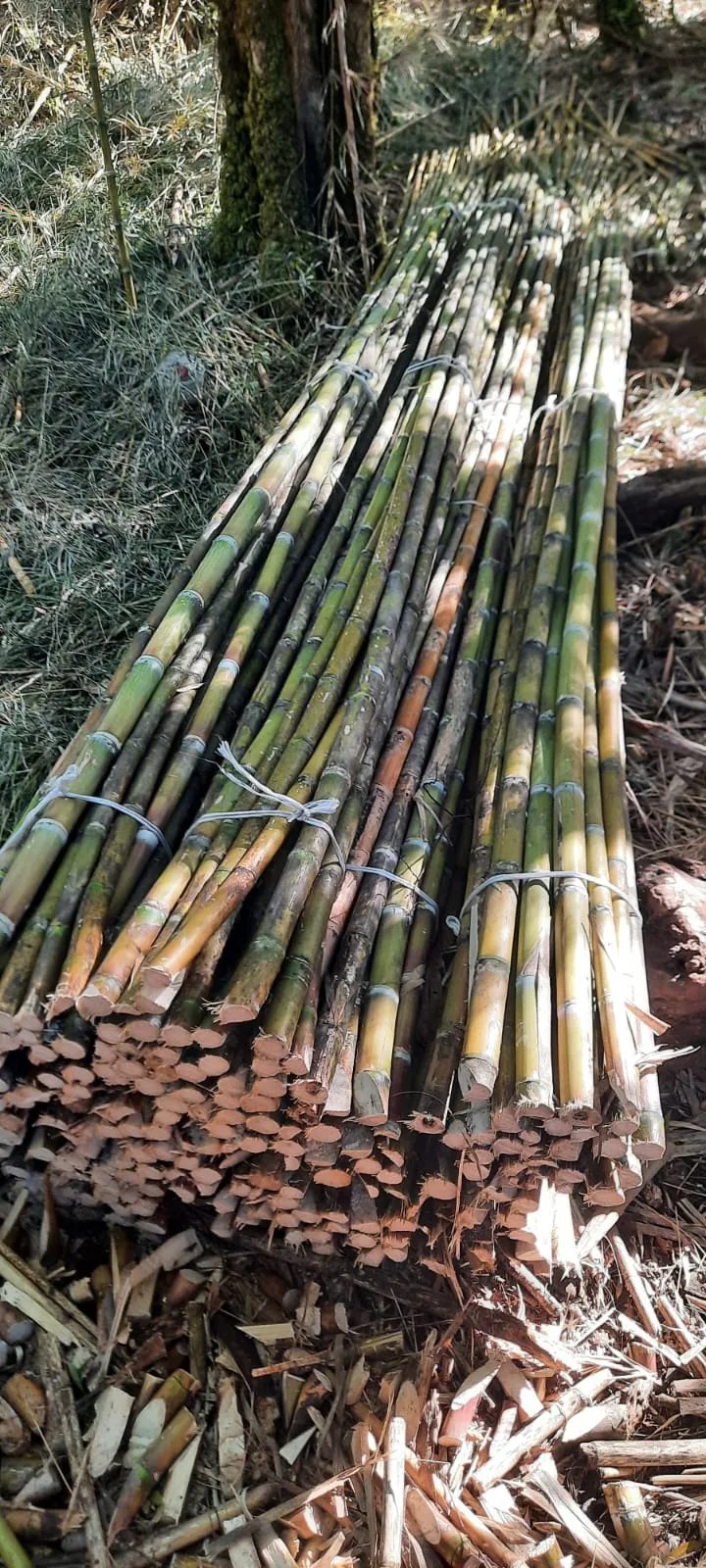 Imagen 6 - Proyectos de construcción