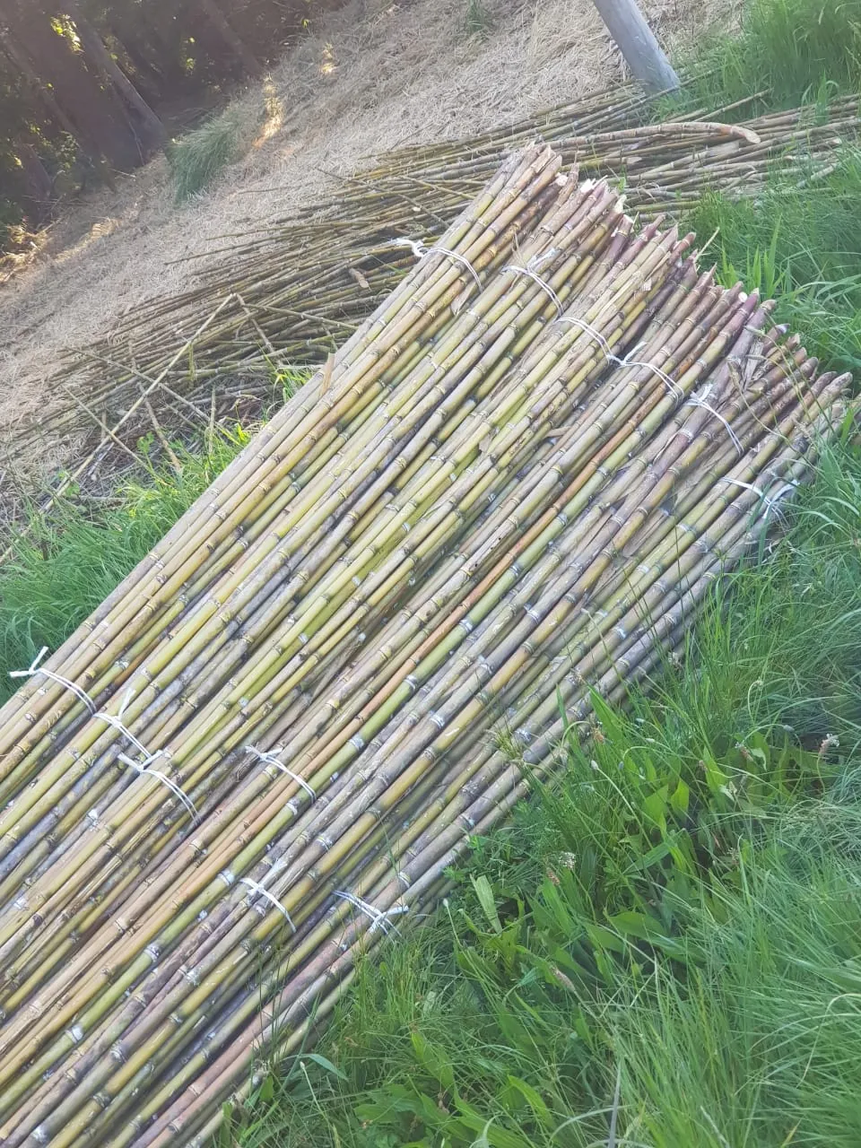 Imagen 7 - Proyectos de construcción