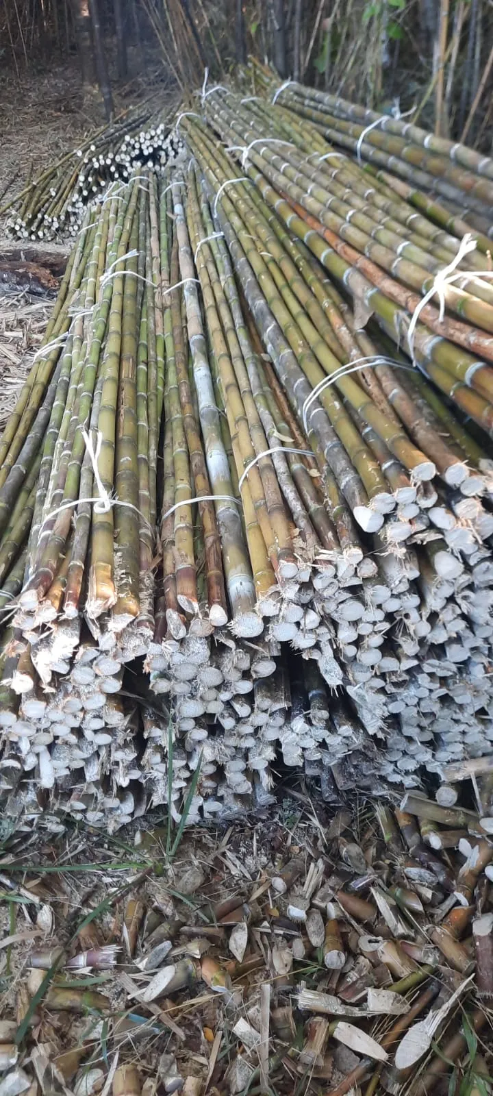 Imagen 8 - Proyectos de construcción