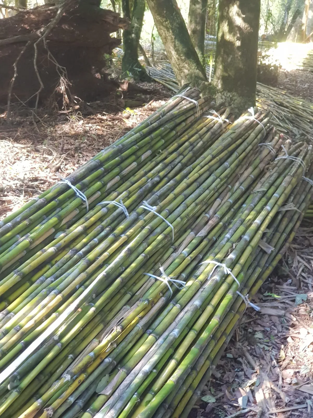 Imagen 9 - Proyectos de construcción