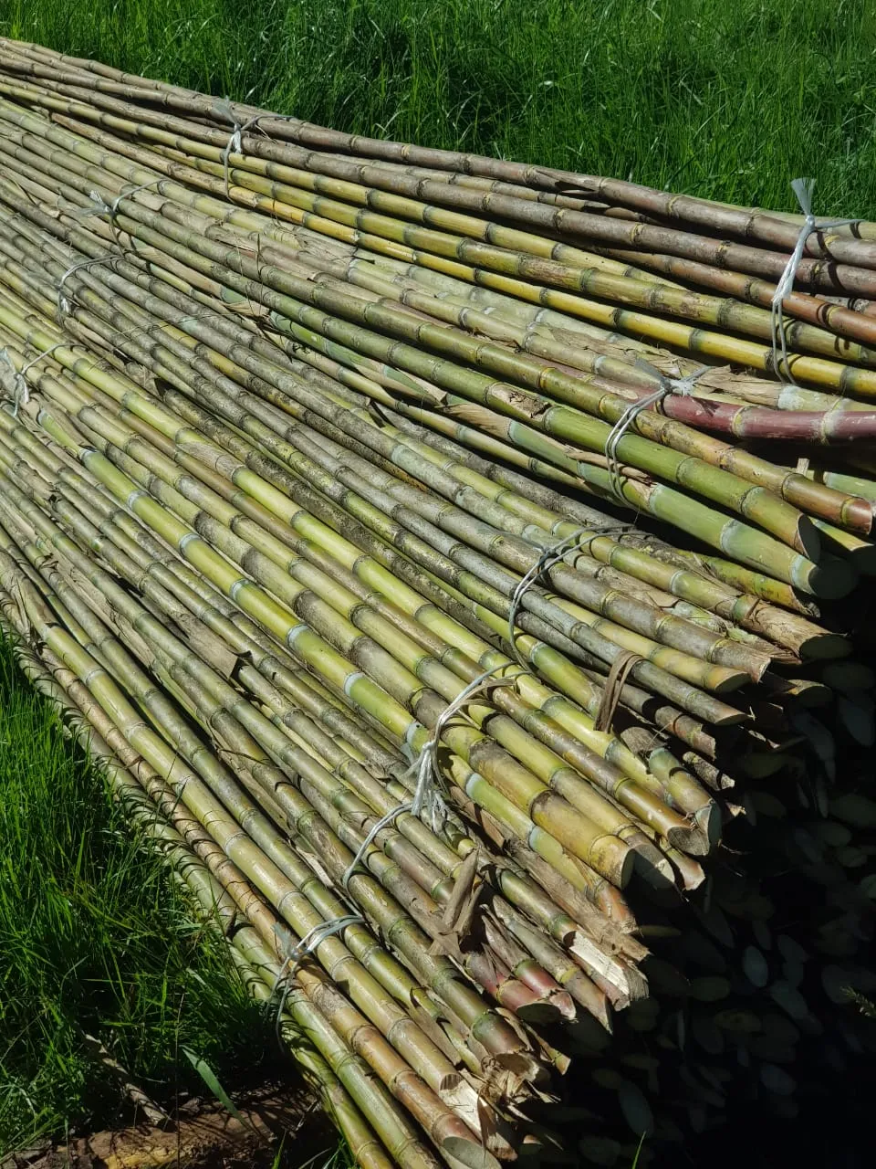 Imagen 13 - Proyectos de construcción