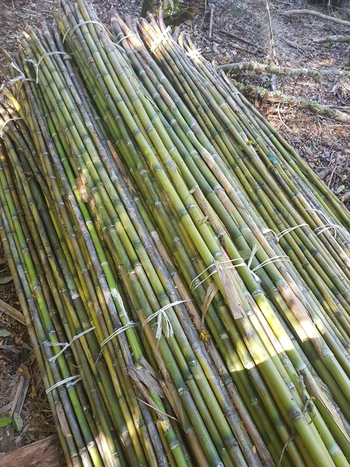 Imagen 14 - Proyectos de construcción