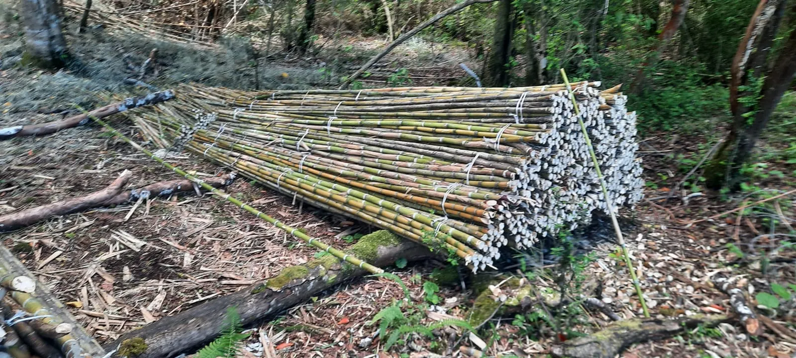 Imagen 11 - Proyectos de construcción