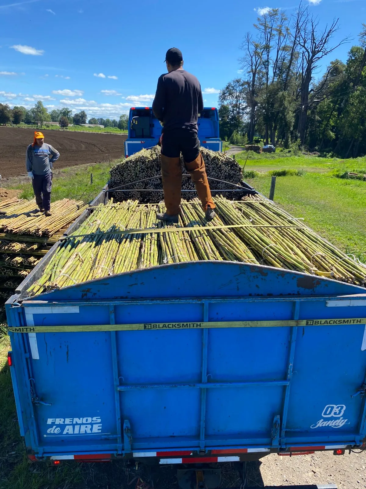 Imagen 15 - Despachos al por mayor a todo destino